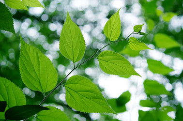 Similar image 239390