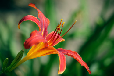 Similar image 239412