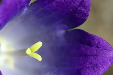 Similar image 239414