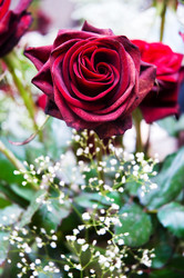 Similar image 239431