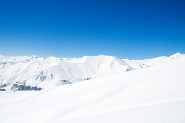 Similar image 239438