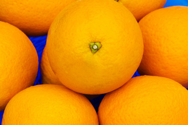 Similar image 239441