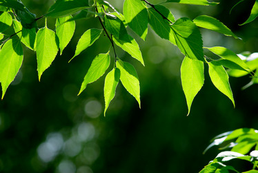 Similar image 239453