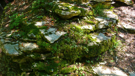 Similar image 239464