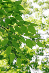 Similar image 239478