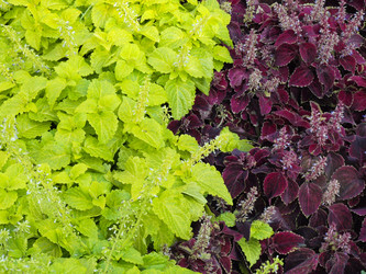 Similar image 239480