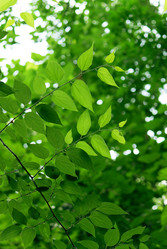 Similar image 239506