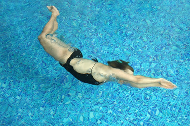 Similar image 239507