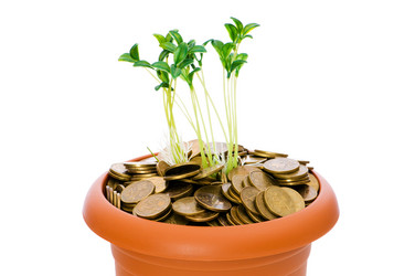 Similar image 239523