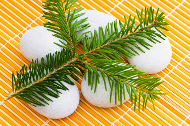 Similar image 239535