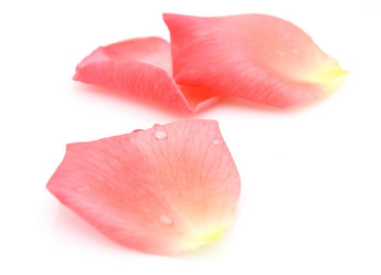 Similar image 239564