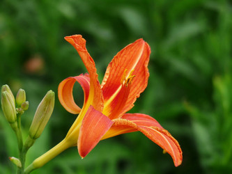 Similar image 239570