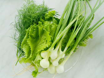 Similar image 239581