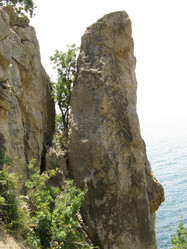 Similar image 239585