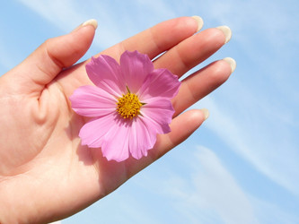 Similar image 239613