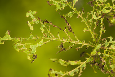 Similar image 239625