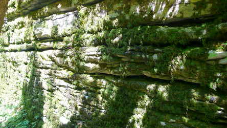 Similar image 239626