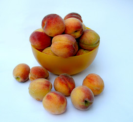 Similar image 239661