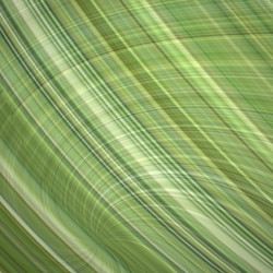 Similar image 239664