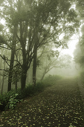 Similar image 239668