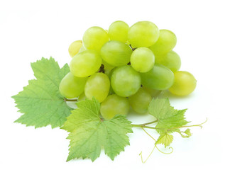 Similar image 239692