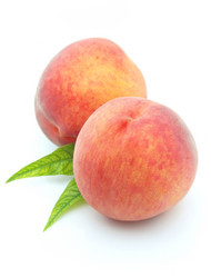 Similar image 239695