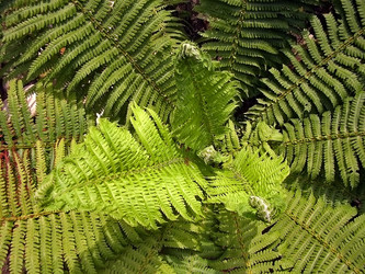 Similar image 239700