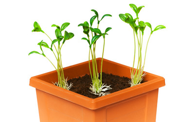 Similar image 239702