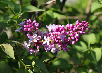 Similar image 239707