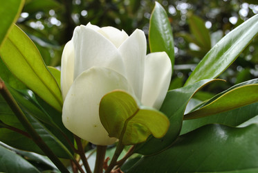 Similar image 239709