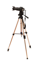 Similar image 239727