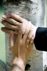 Similar image 239778