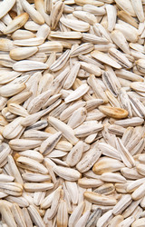 Similar image 239791