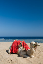 Similar image 239809