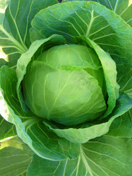 Similar image 239827