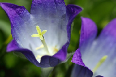 Similar image 239833