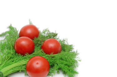 Similar image 239834