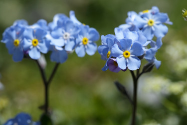 Similar image 239845