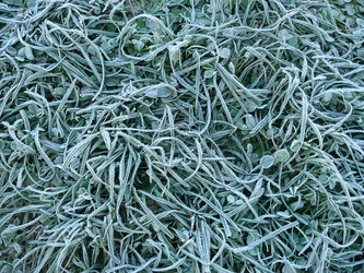 Similar image 239877