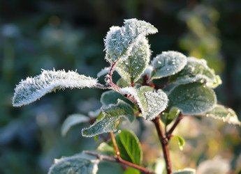 Similar image 239879