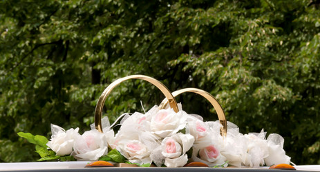 Similar image 239881