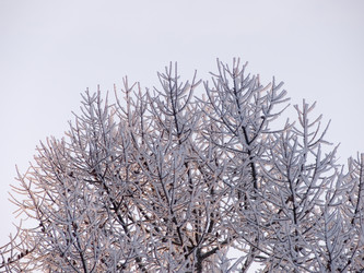 Similar image 239892