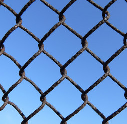 Similar image 239902