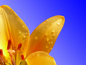 Similar image 239906