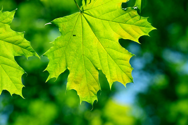 Similar image 239921