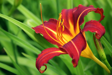 Similar image 239923