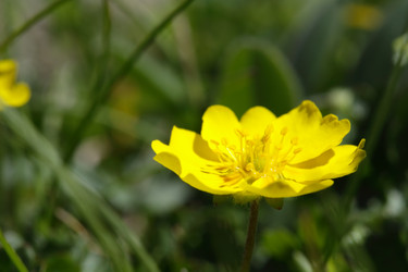 Similar image 239935