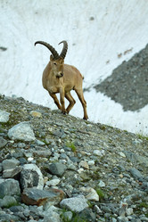 Similar image 239938