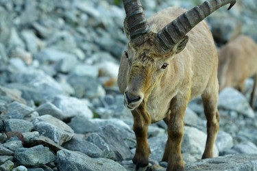 Similar image 239940