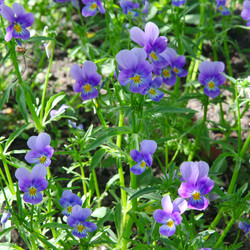 Similar image 239941